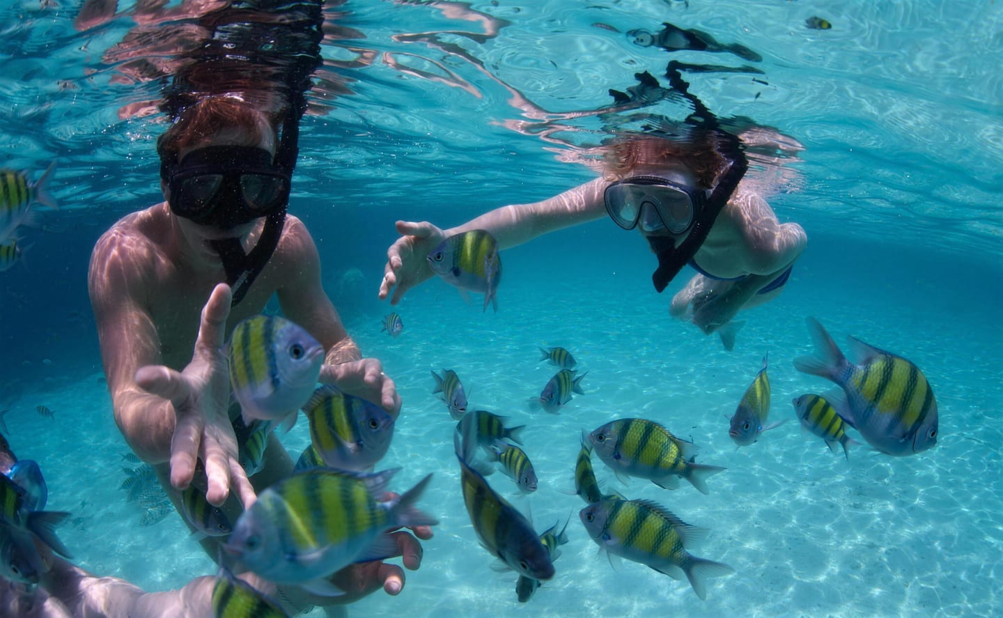 Snorkeling