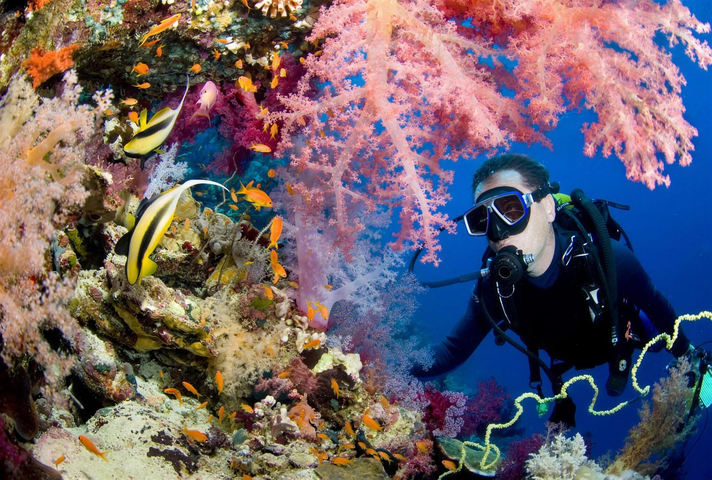 Scuba Diving